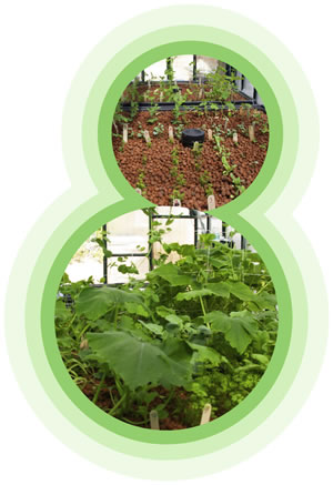 Aquaponics Grow Bed Media